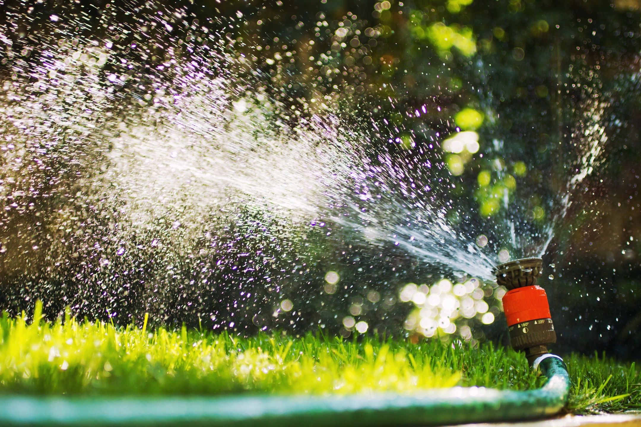 LANDSCAPE LIGHTING